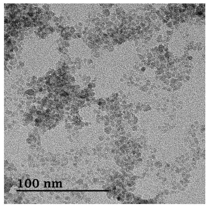 Magnetic particle-modified hollow gold nanoparticles as well as preparation method and application thereof
