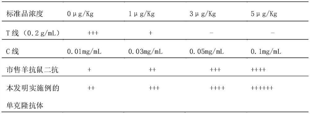 A preparation method of monoclonal antibody used to replace anti-pika secondary antibody