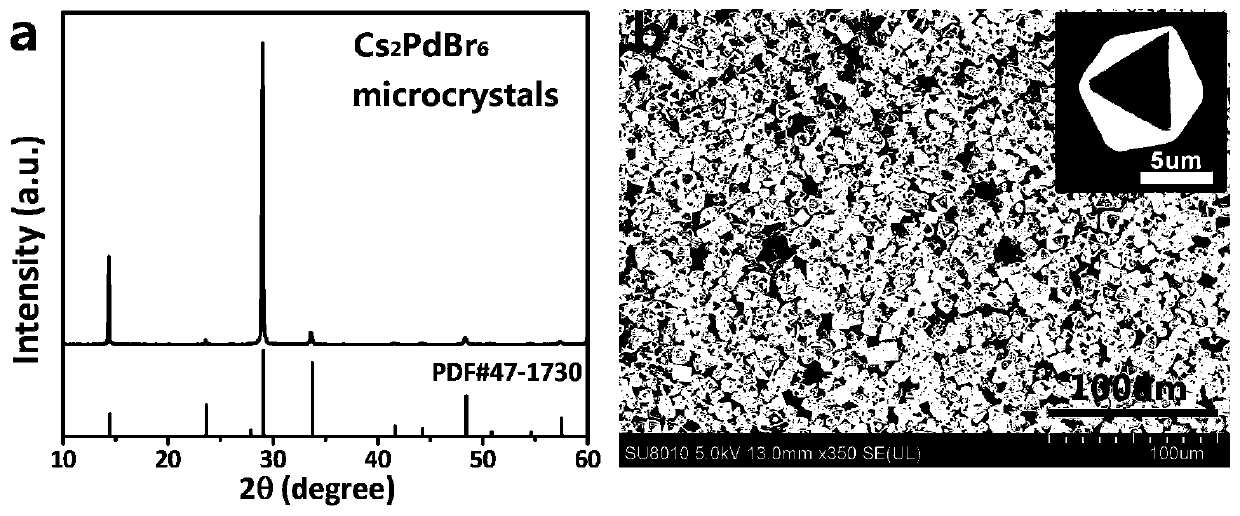 A stable lead-free low bandgap all-inorganic perovskite a  <sub>2</sub> pdx  <sub>6</sub> Nanocrystal and its preparation method