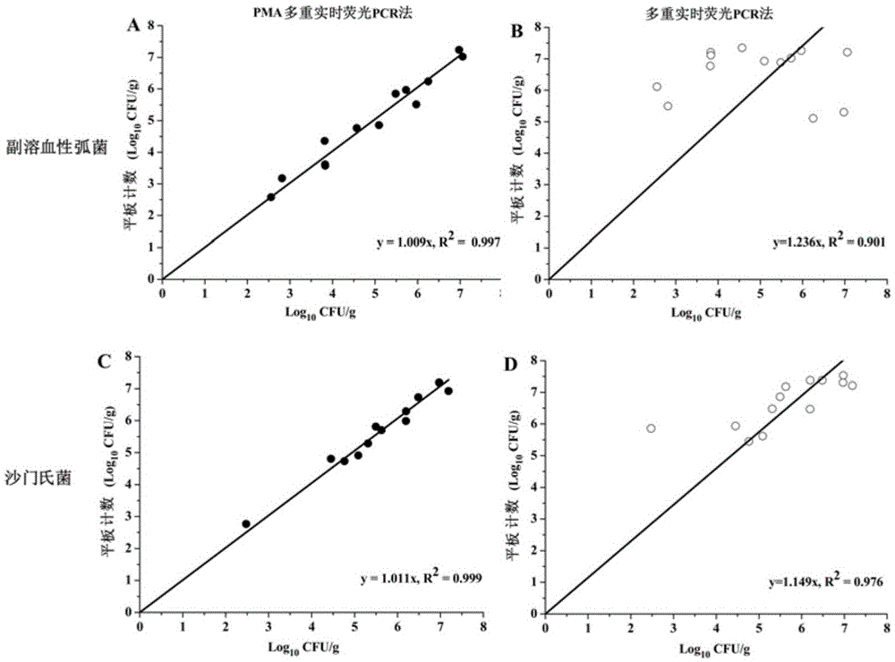 Method for simultaneously quantifying two viable pathogenic bacteria in penaeus vanmamei