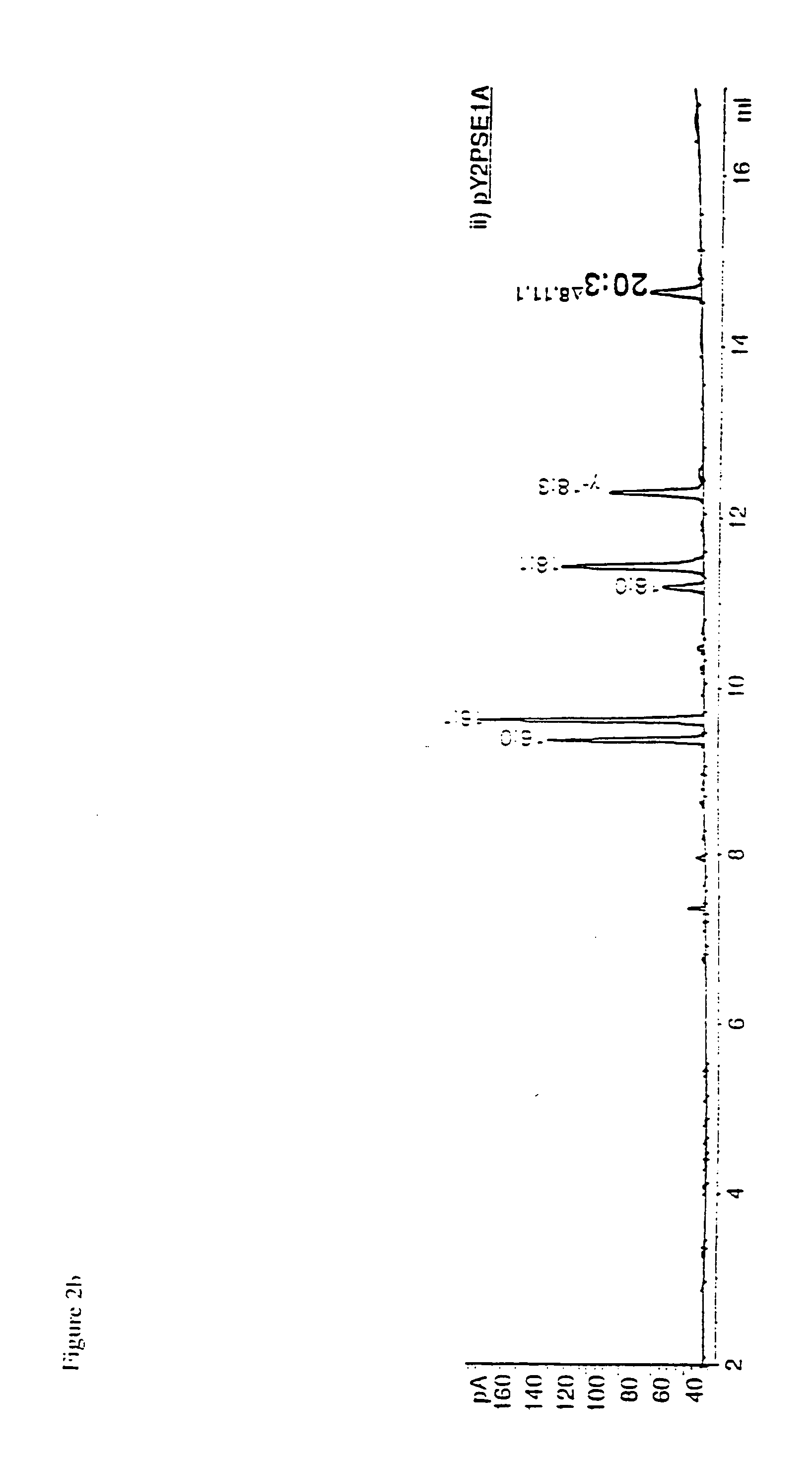 Novel elongase gene and method for producing multiple-unsaturated fatty acids