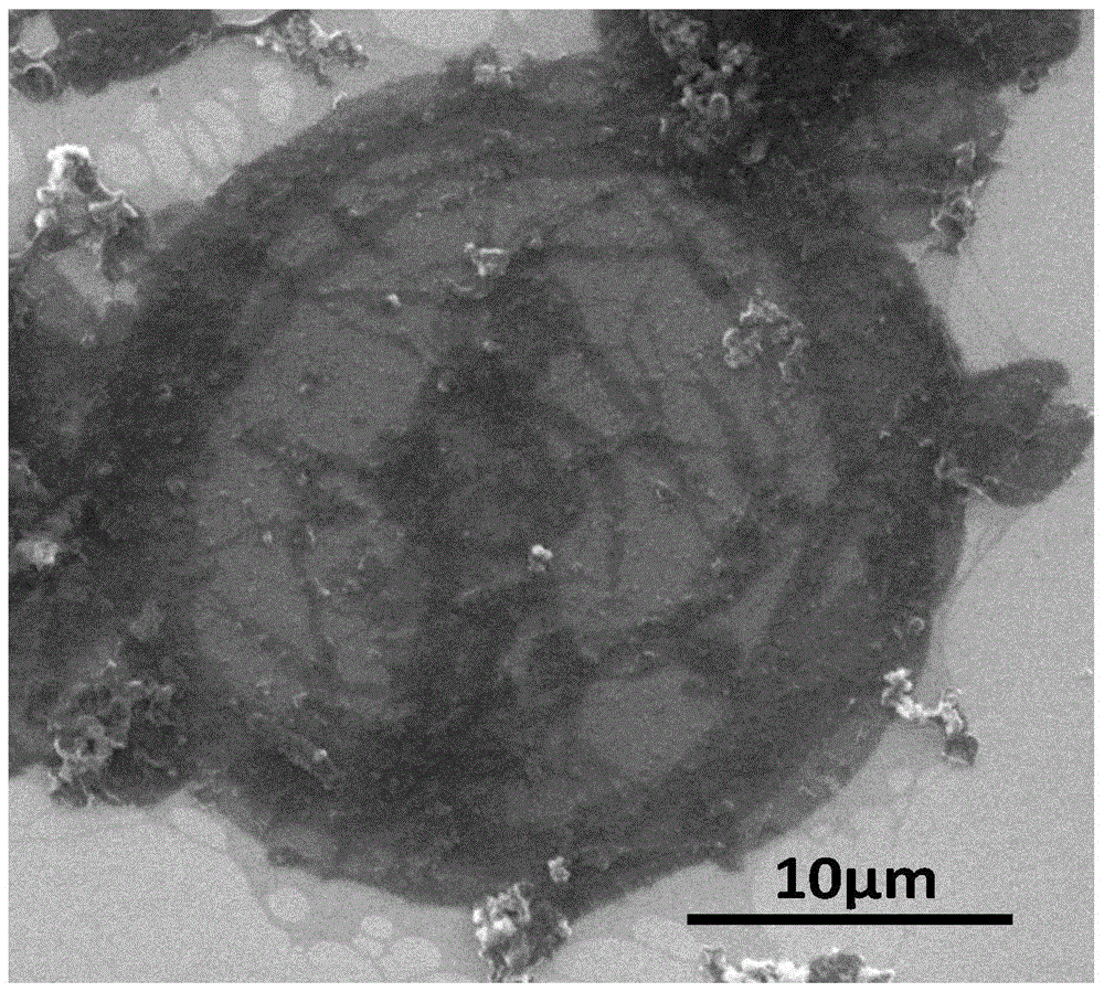 Preparation method for acidity-controllable drug carrier