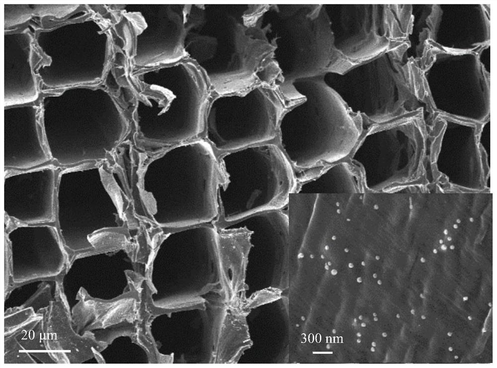 A kind of porous charcoal containing three-dimensional amorphous carbon framework and its preparation method and application