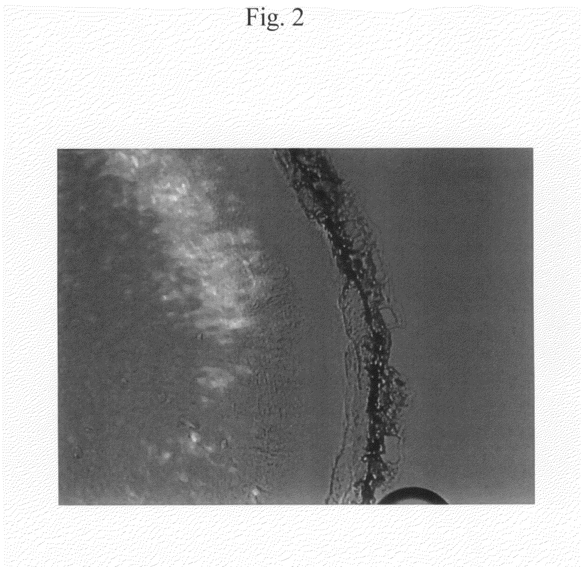 Type II Cubic Liquid Crystal Composition