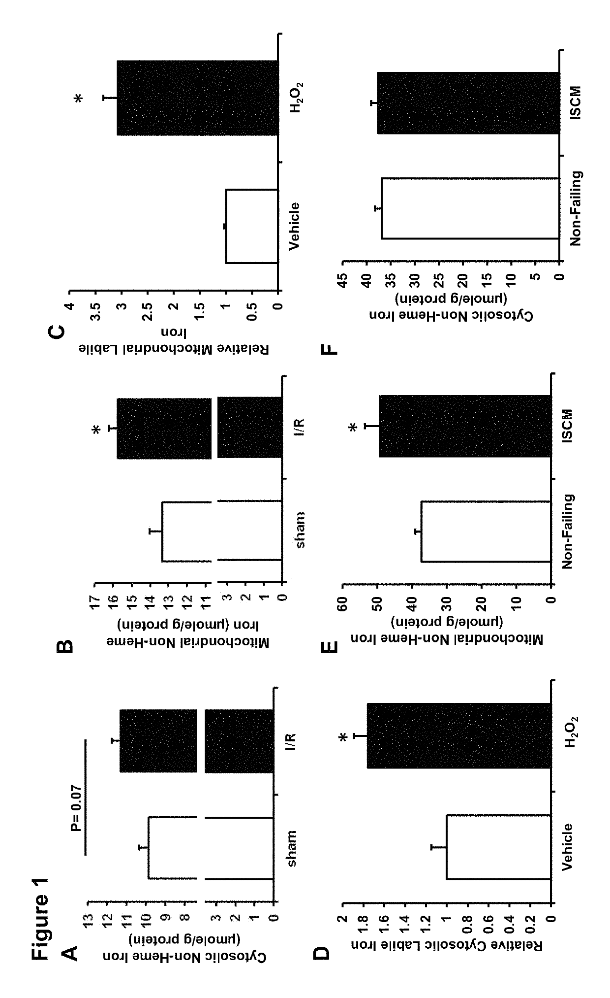 Mitochondrial lipid permeable iron chelators for treating and preventing ischemia/reperfusion (I/R) injury in the heart following an ischemic event