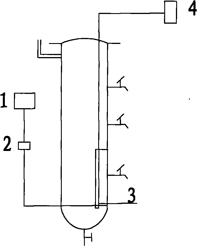 Method for removing heavy metal Cr from sludge by bioleaching