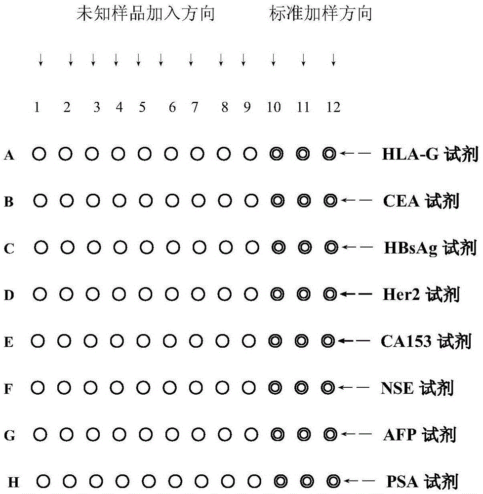 Novel protein chip