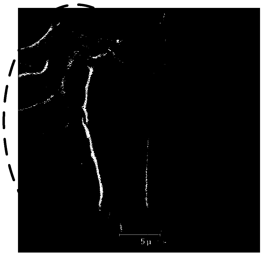 Photoresist removal method and semiconductor device manufacturing method