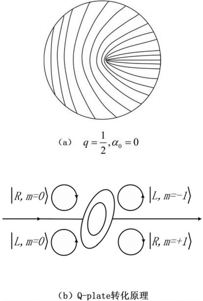 Generation system and method for spinning-orbital angular momentum hybrid entangled state