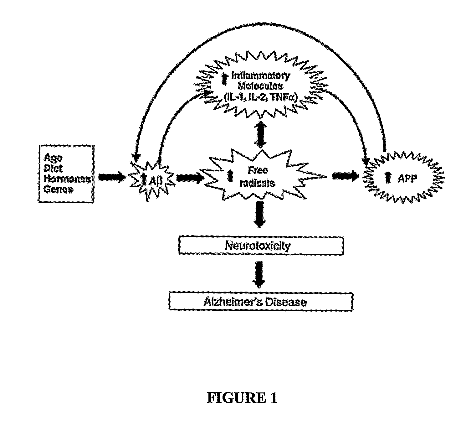 Nitroxides for use in treating or preventing amyloid-related diseases