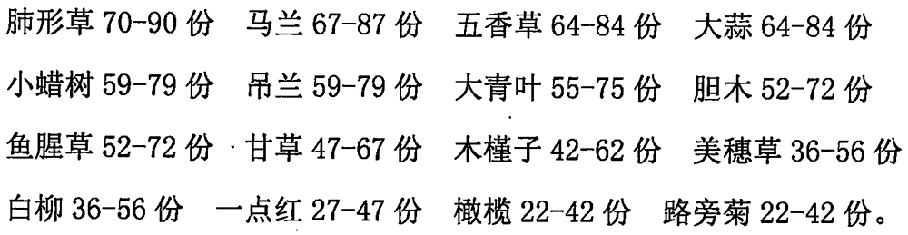 Traditional Chinese medicine preparation for nursing infectious respiratory tract inflammation and preparation method thereof