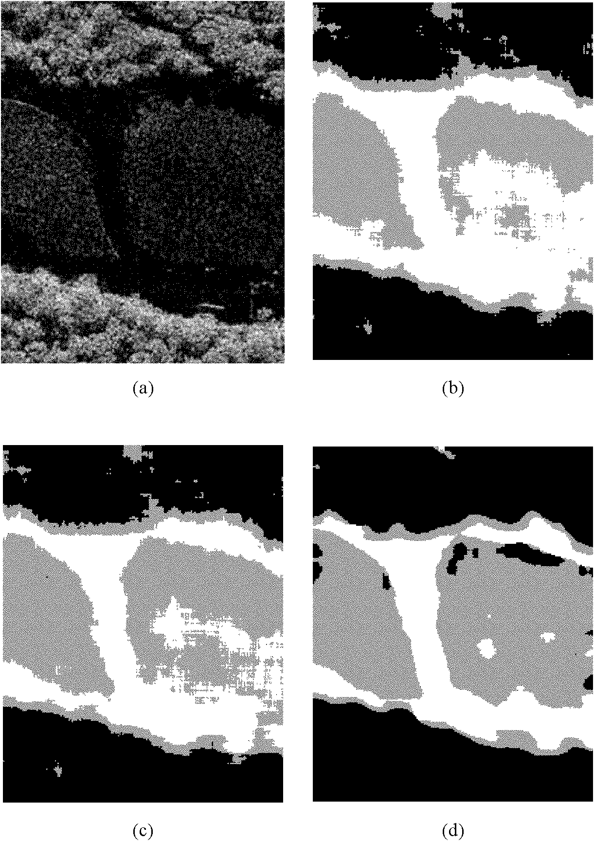 SAR (Synthetic Aperture Radar) image segmentation method based on dictionary learning and sparse representation
