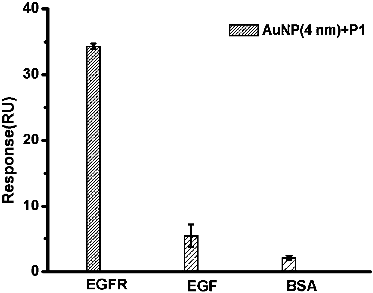 Artificial antibody for targeting EGFR (epidermal growth factor receptor) based on gold nanoparticles and preparation method thereof