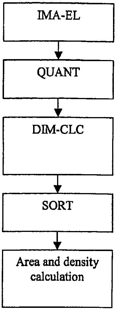 Method and apparatus for analyzing biological tissue specimens