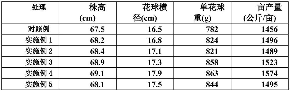 Soil conditioner containing nut shells and bamboo shoot shells and preparation method of soil conditioner