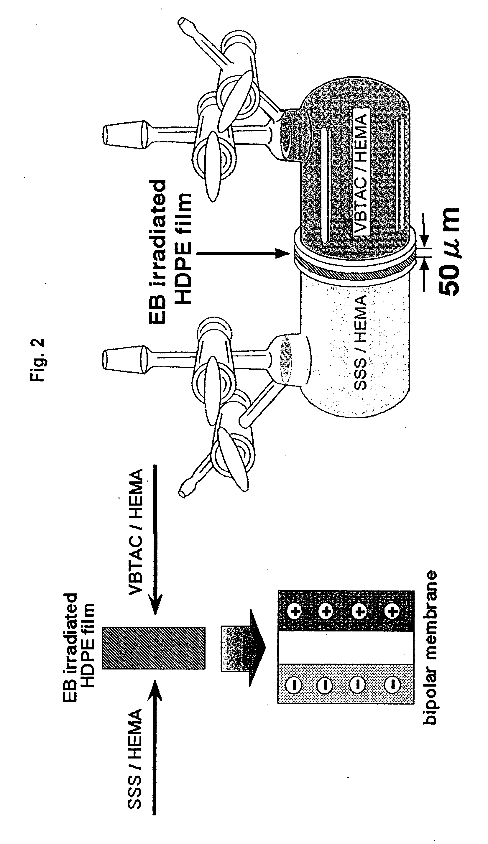 Functionalized materials and libraries thereof