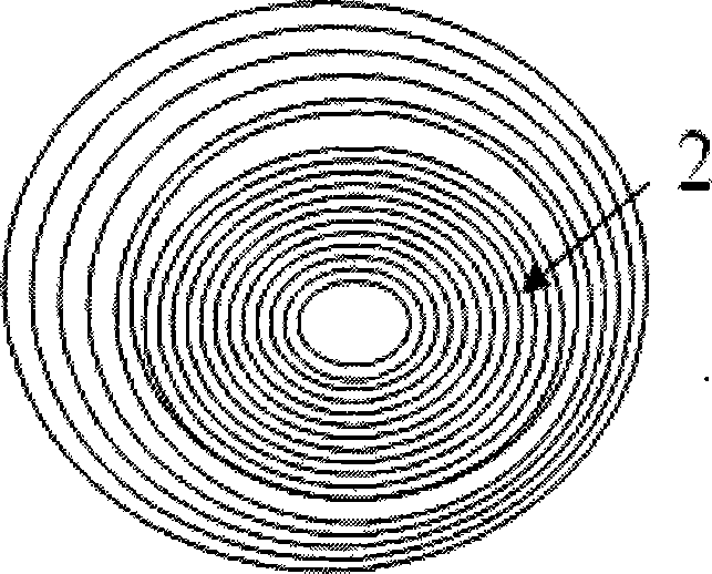 Method for marking salmon and trout by daily growth increments in otoliths