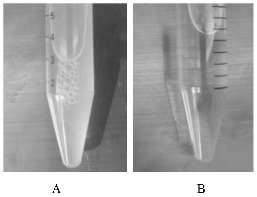 Escherichia coli capable of producing enterotoxins for piglets and application of escherichia coli