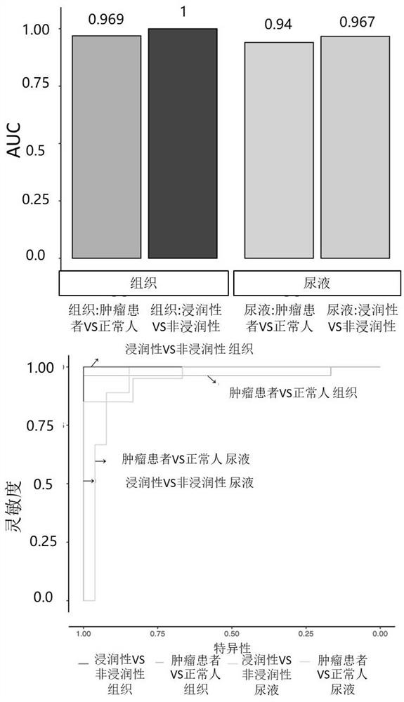 Detection method and kit for diagnosing bladder urothelium carcinoma