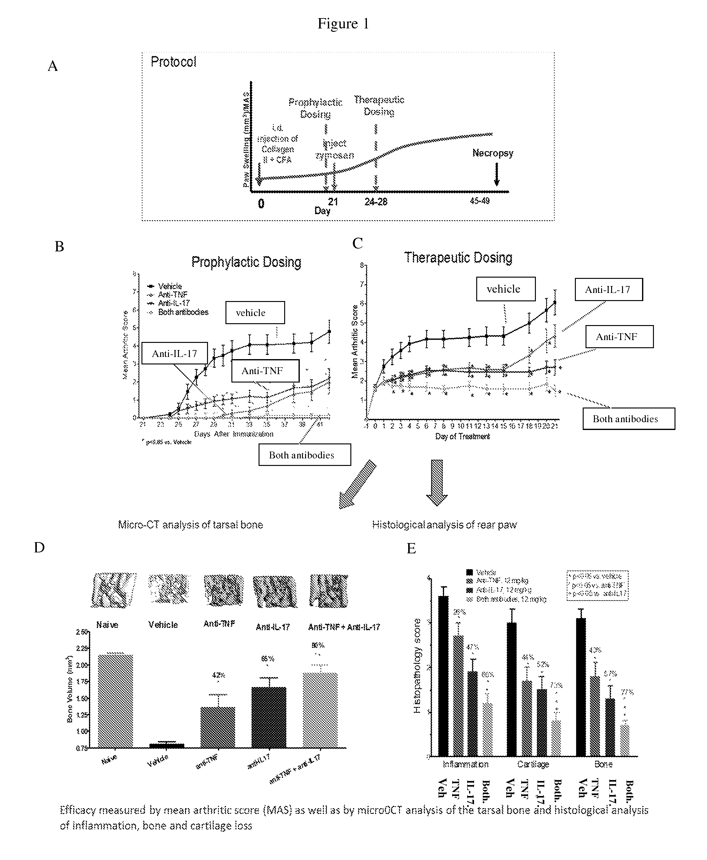 Biomarkers for inflammatory disease and methods of using same