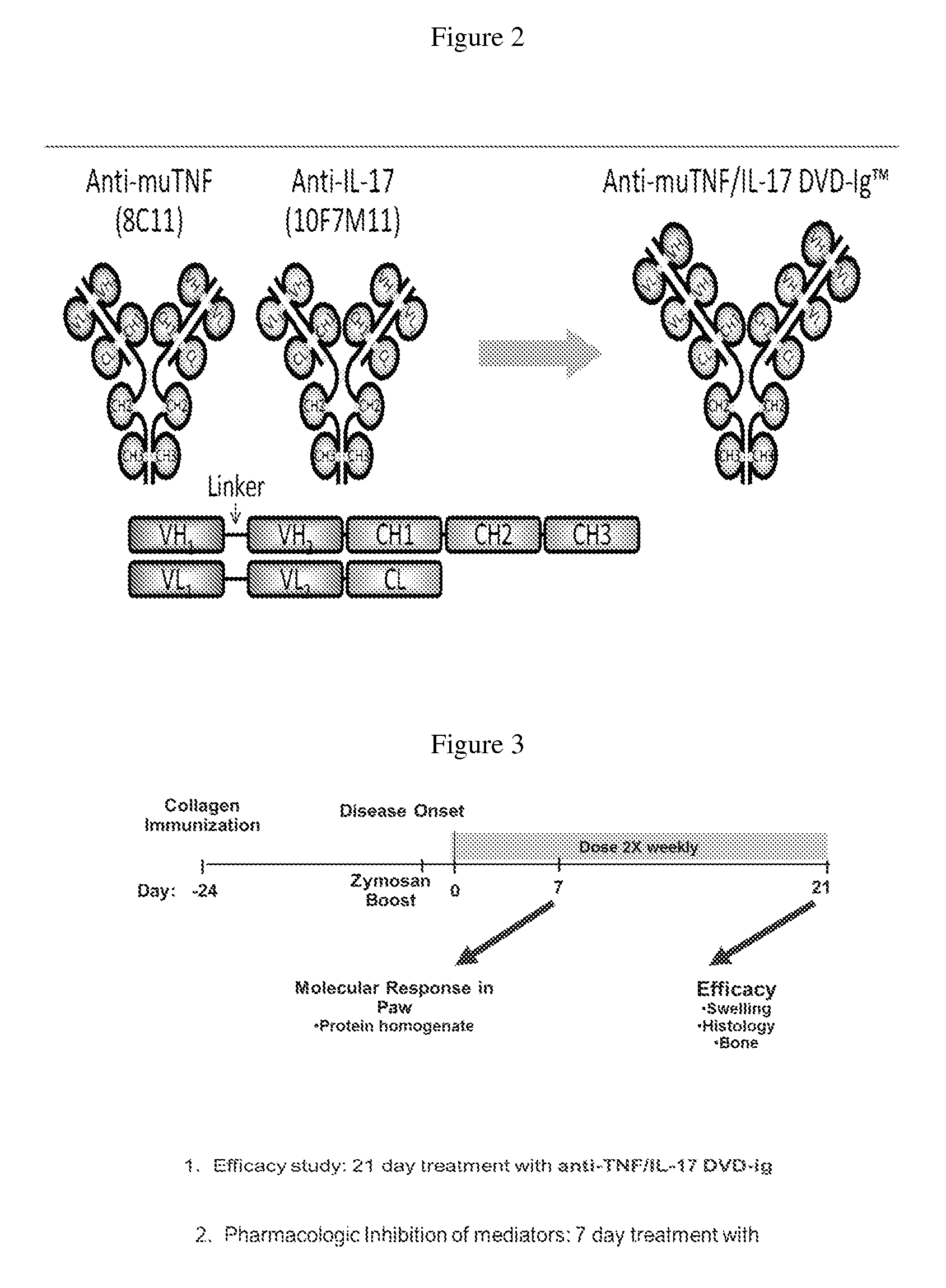 Biomarkers for inflammatory disease and methods of using same