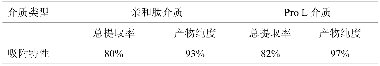 Affinity peptide and application thereof