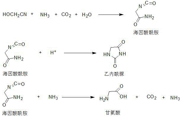 Combined production method and device of glycine and hydantoin