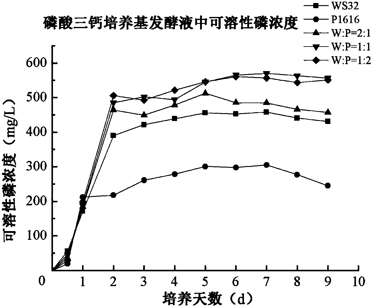 A kind of compound phosphate-dissolving bacteria agent and its preparation method and application