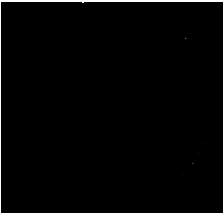 A kind of compound phosphate-dissolving bacteria agent and its preparation method and application