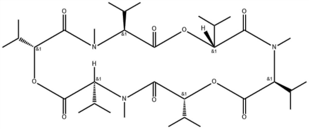 Chemiluminiscence kit for detecting Enniatins and application of chemiluminiscence kit