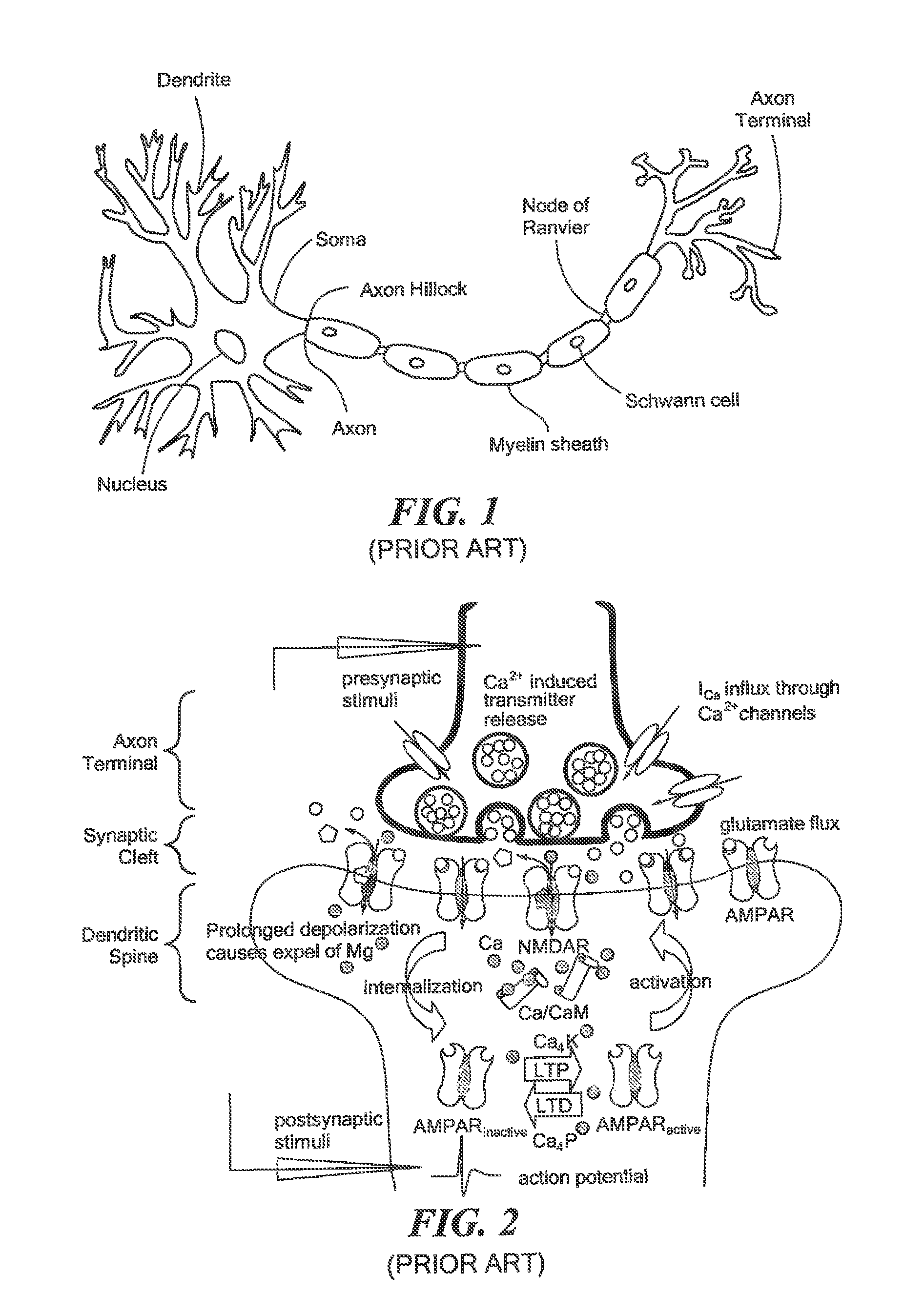 Circuits and methods representative of spike timing dependent plasticity of neurons