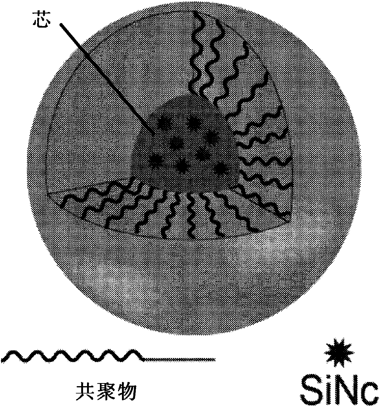 Composition comprising photosensitive compound in polymeric nanoparticle, and method of using composition