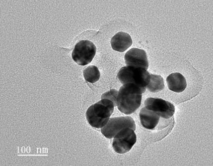 Preparation process and application of rod-like colloidal gold particles