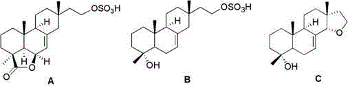Isopimarane diterpenoid compounds and application thereof