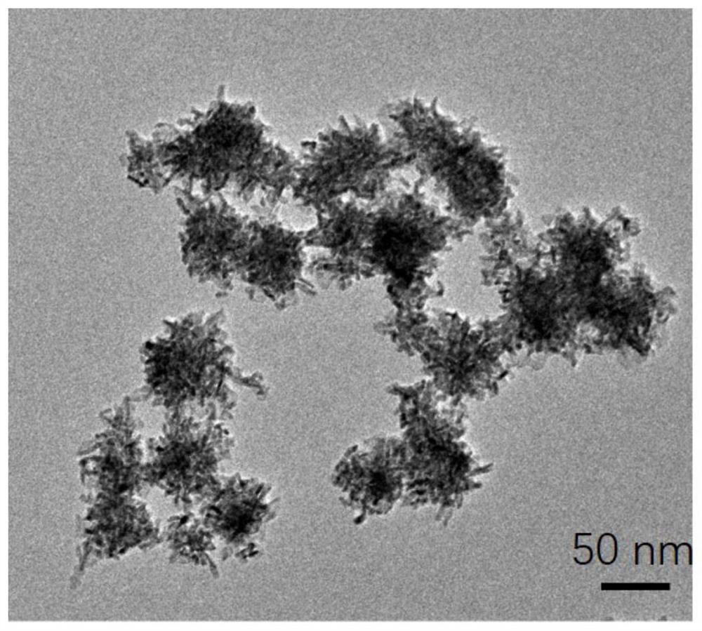 A kind of preparation method of three-dimensional porous rh-ir alloy dendritic nanoflowers, obtained materials and applications