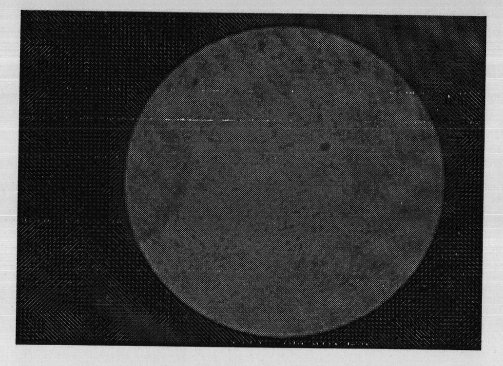 Cellulomonas fimi DA 8 bacterial strain as well as acquiring method and application thereof