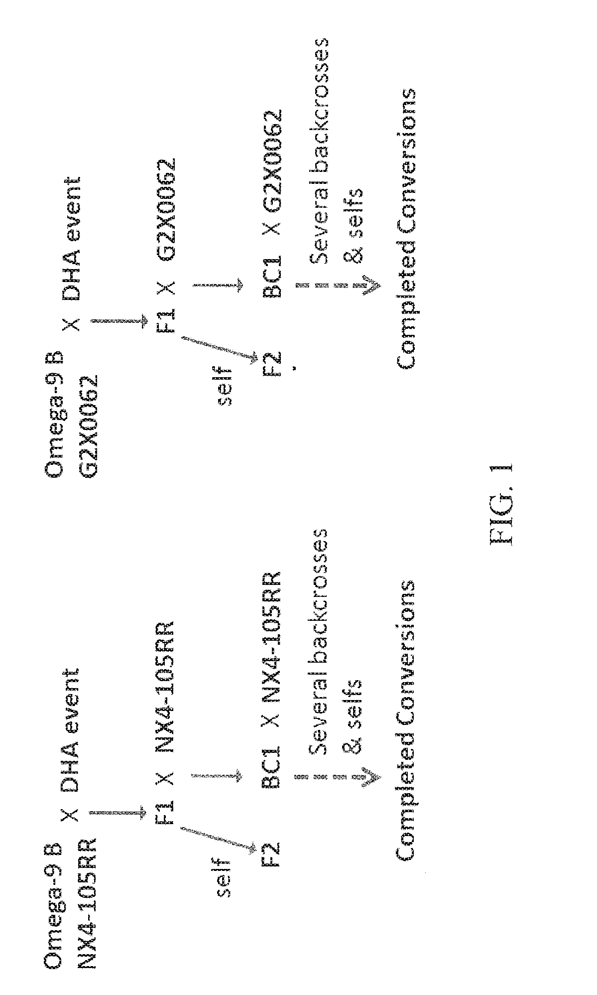 Methods and systems using ftir for plant trait detection and trait introgression