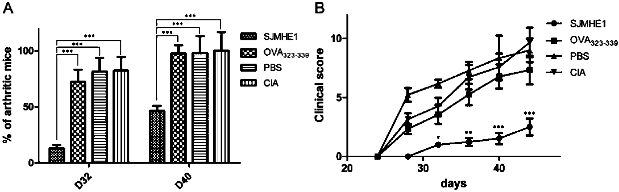Polypeptide for inhibiting joint inflammations in mice and application thereof