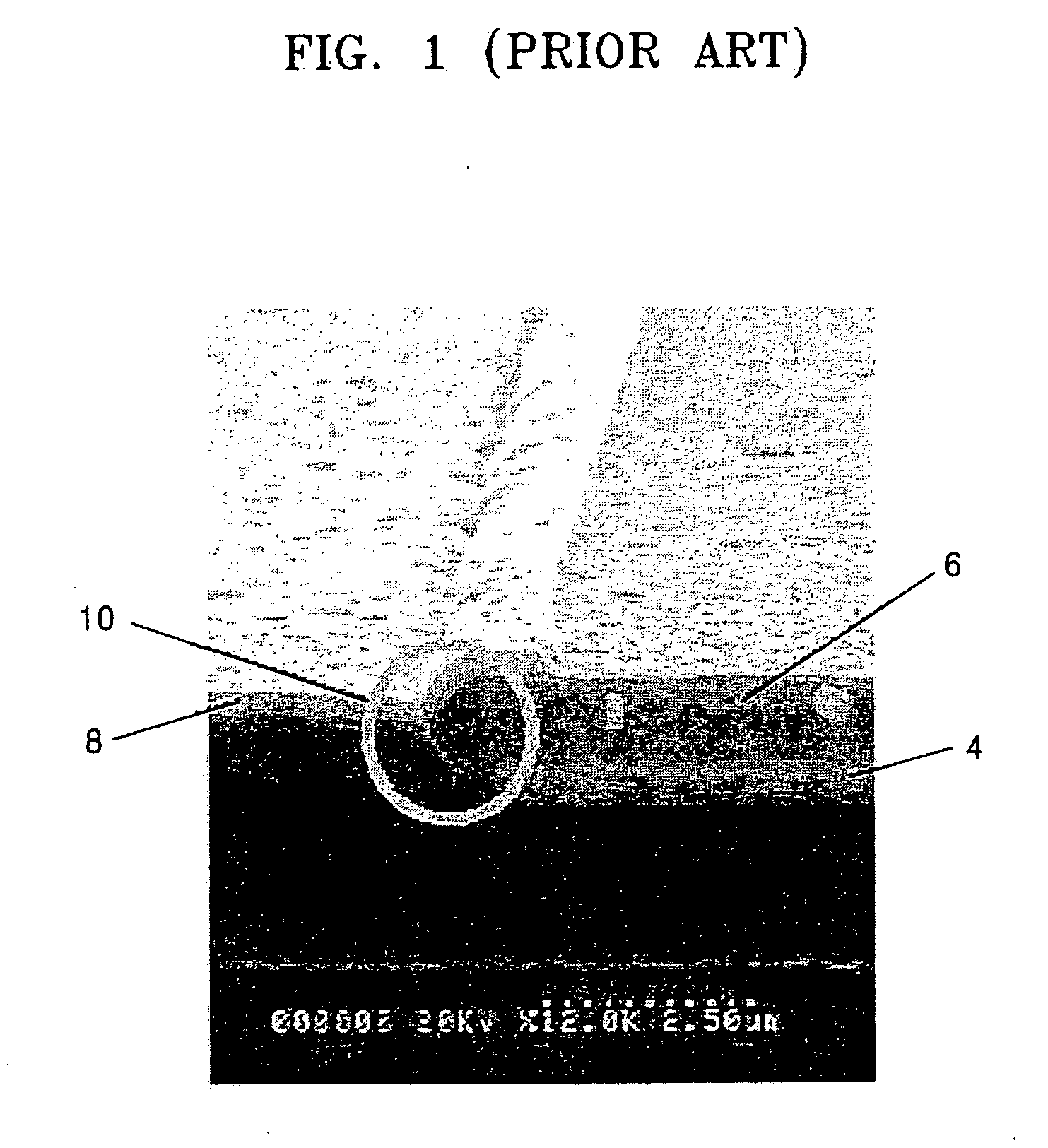 Field emission display having carbon nanotube emitter and method of manufacturing the same