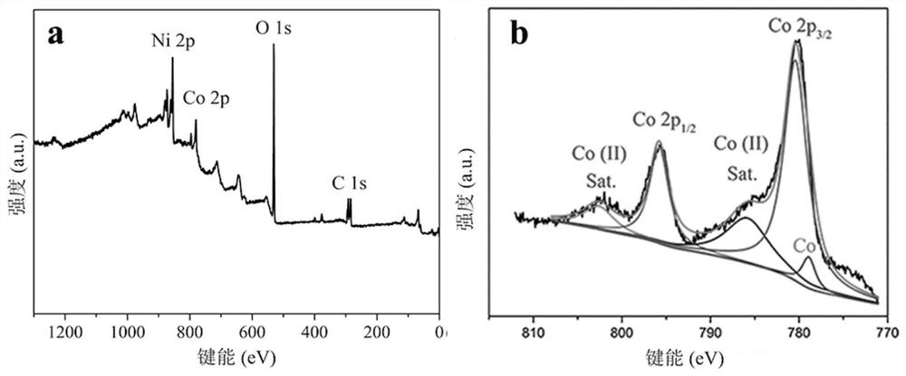 Sea urchin-like amorphous carbon/nickel foam composites and their preparation methods and applications in supercapacitors