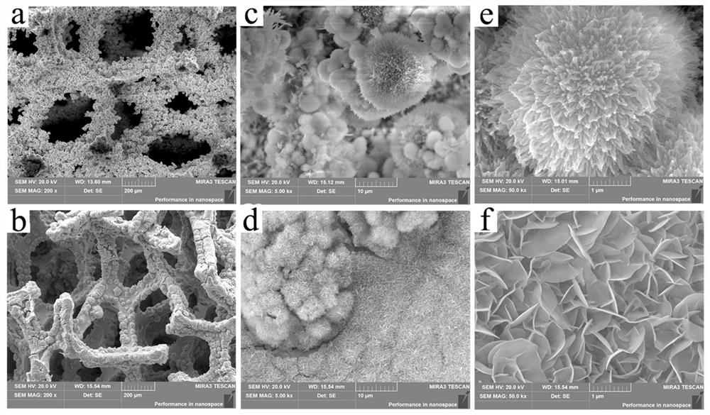Sea urchin-like amorphous carbon/nickel foam composites and their preparation methods and applications in supercapacitors