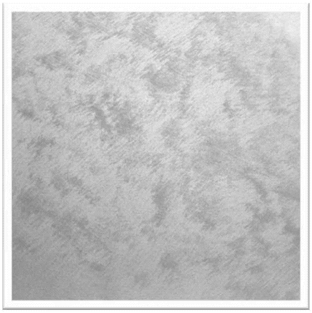 Emulsion paint composition with special artistic effect, and preparation method and application thereof