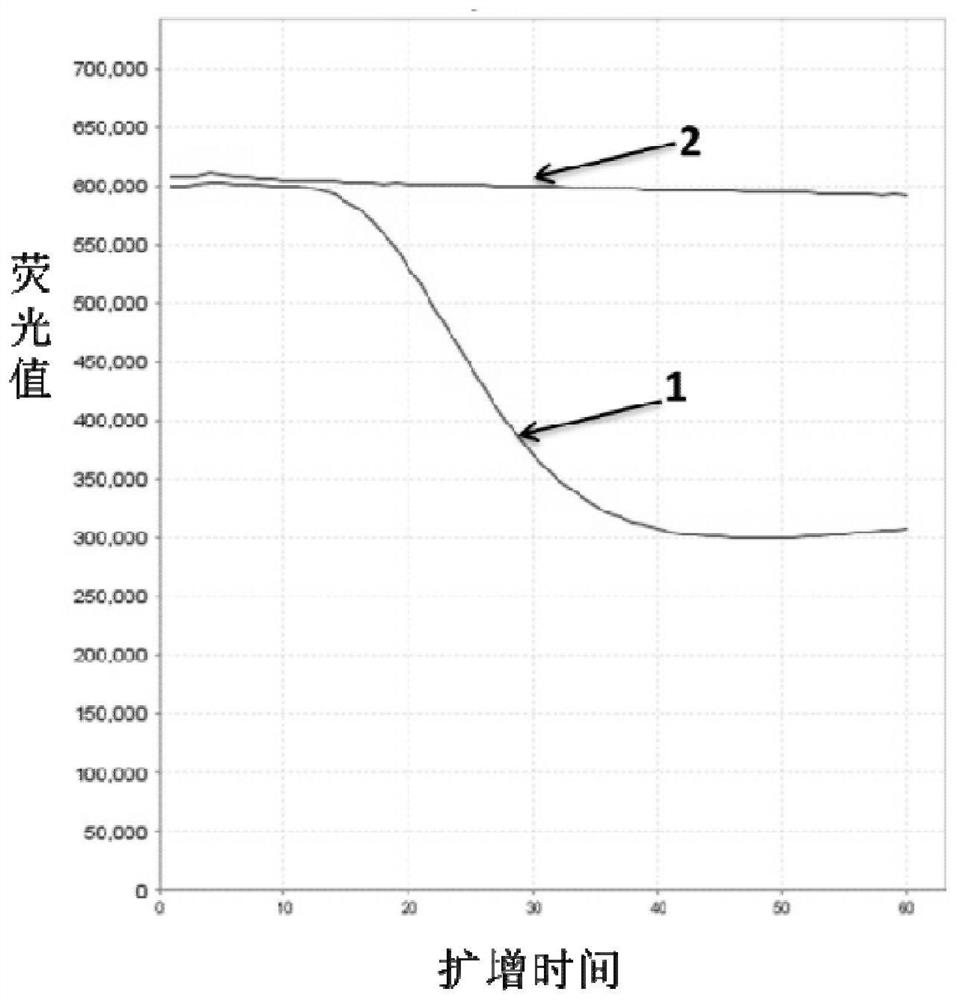 Method for detecting REV by using NASBA, and reagent set used therein