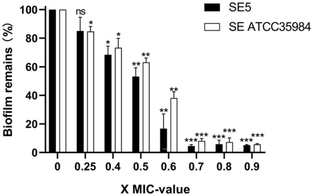 Cationic peptide C9 and application thereof