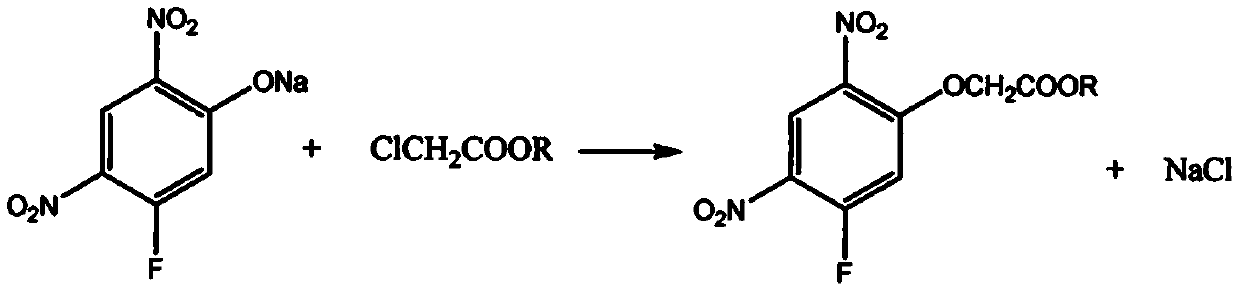 Method for synthesizing 2-(5-fluoro-2, 4 dinitro-phenoxy) acetate