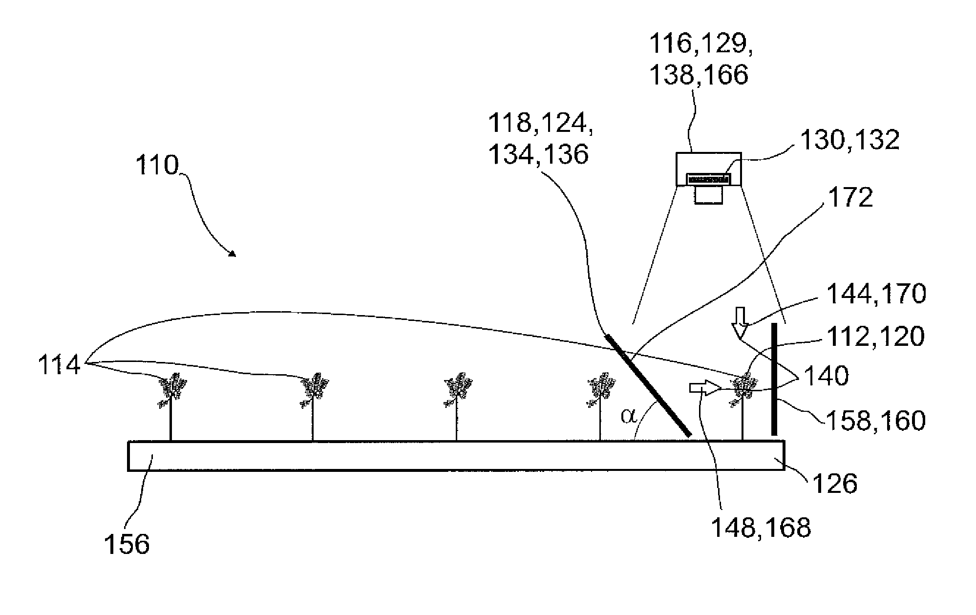 Screening device for screening plant specimens