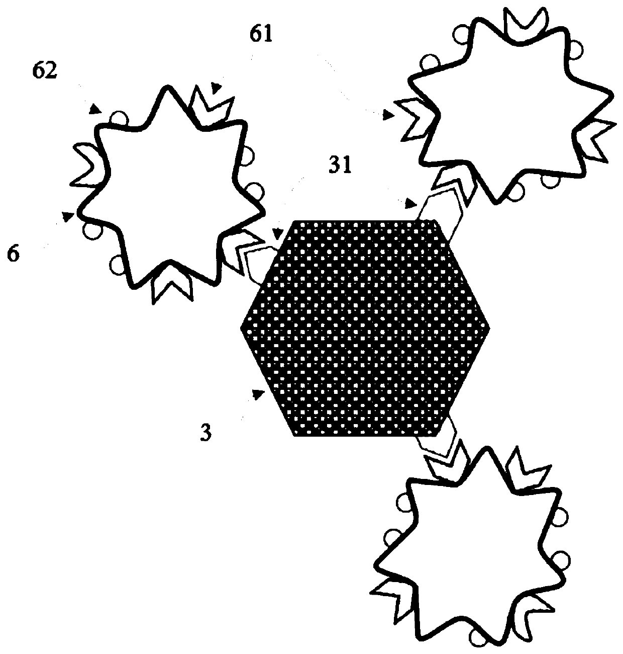 An in vivo enrichment device for circulating tumor cells