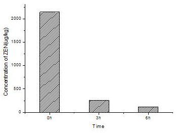 Zearalenone Degrading Enzyme Mutant with Improved Enzyme Activity and Its Encoding Gene and Application