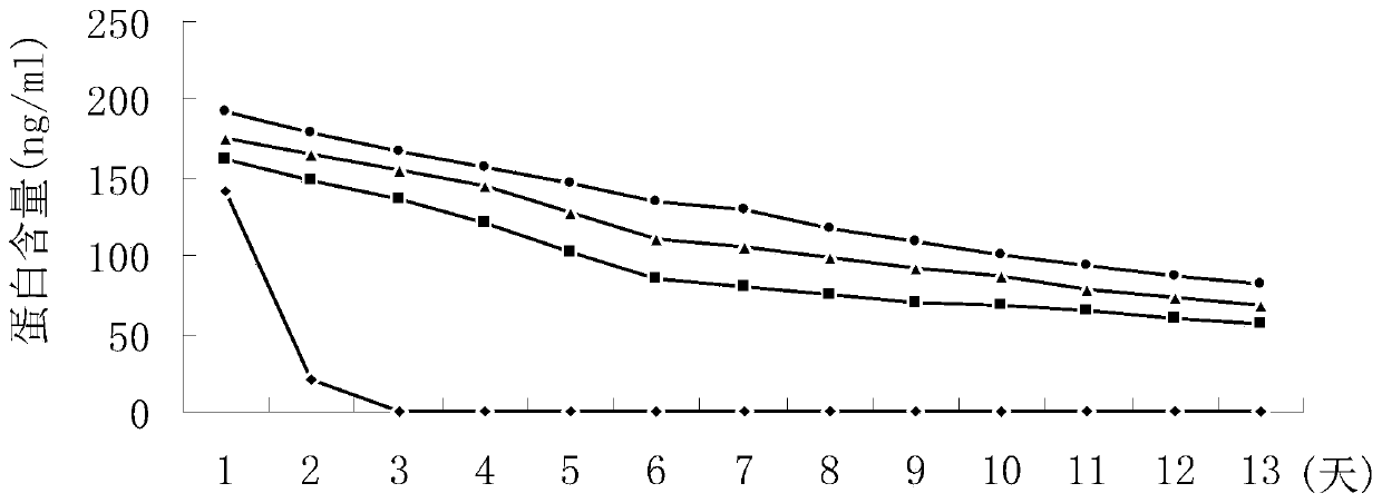 Derivative of endostatin resistant to tumor proteins