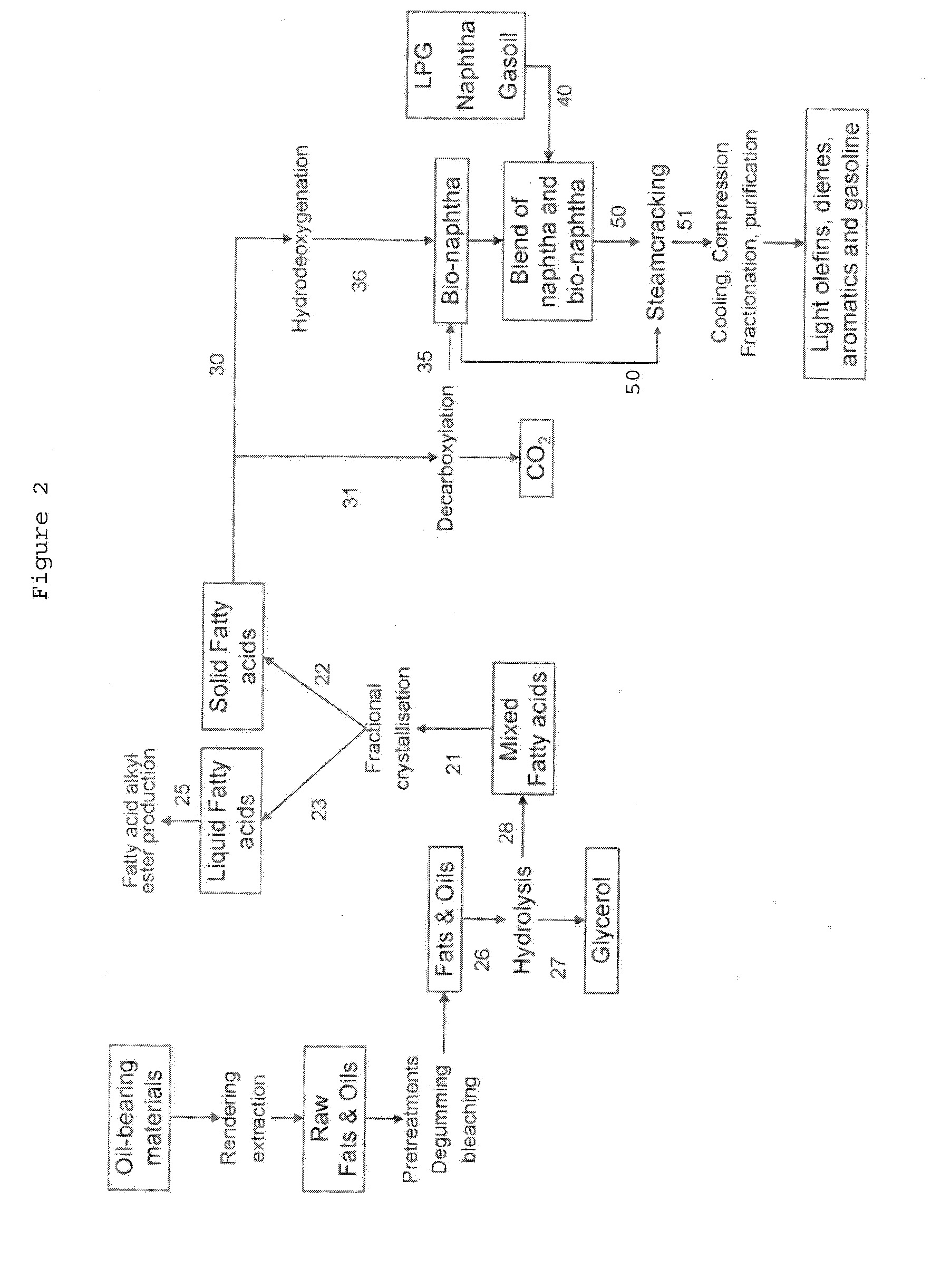 Process for the Production of Bio-Naphtha from Complex Mixtures of Natural Occurring Fats & Oils